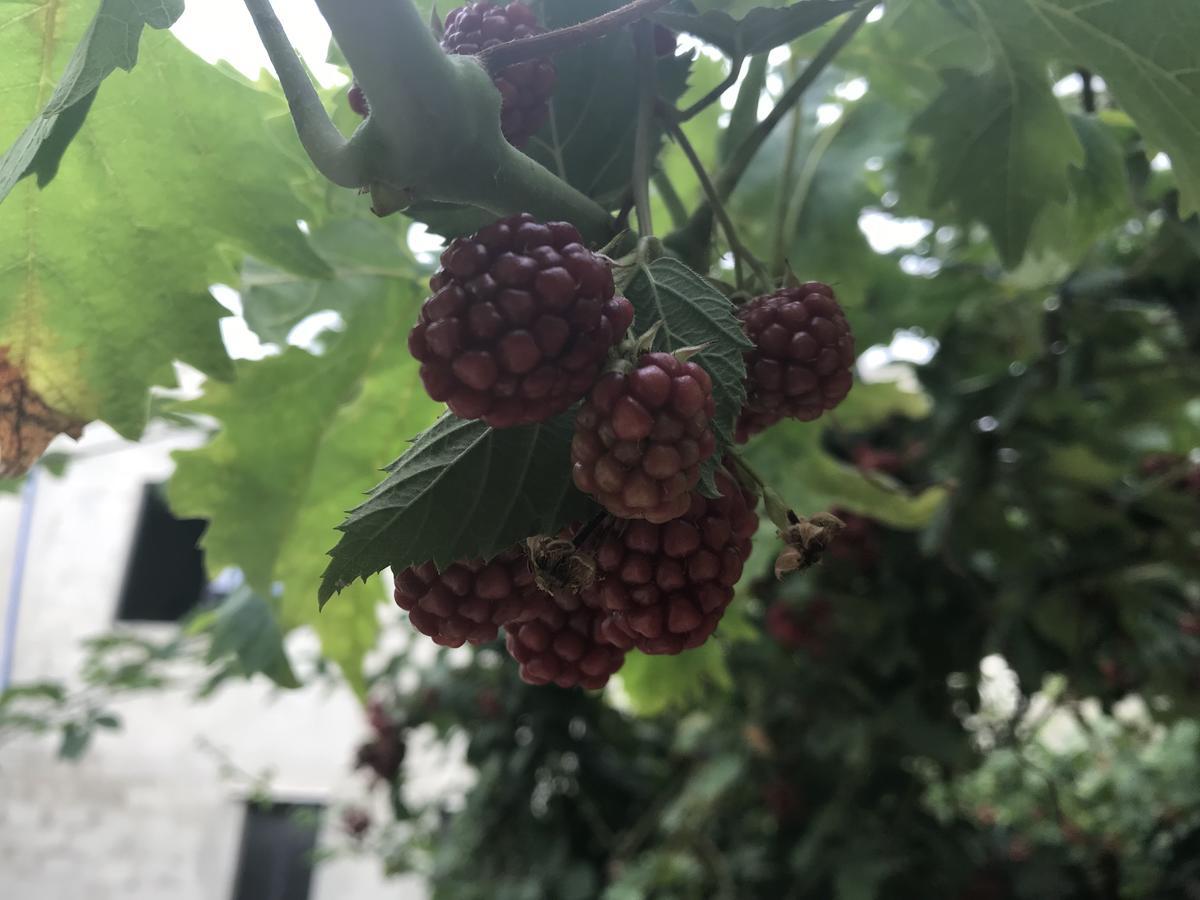 Mresty Guest House Mtolle 外观 照片