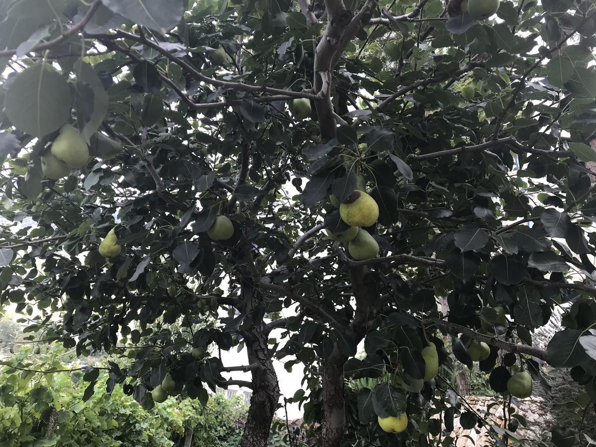 Mresty Guest House Mtolle 外观 照片